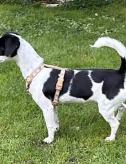 Süsse Gianna sucht ihr Glück - Bergkirchen