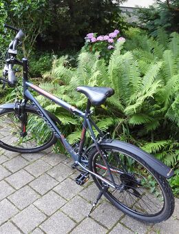 Herrenfahrrad 26 Zoll zu verkaufen VB. 100,- Euro - Berlin Pankow