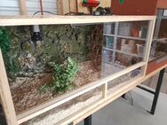 Terrarium 120*60*60 gebraucht (ohne Schlange aber mit allem was auf den Bilder zu sehen ist) - Berkheim