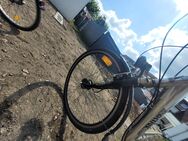 Kinder+Erwachsenen Fahrrad von active - Kamp-Lintfort