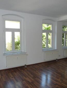C-Sonnenberg: Freundliche 2-Zimmer-Wohnung mit Laminatboden, großem Wohnbereich & Badewanne - Chemnitz