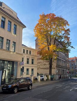 kleine 1,5- RWE mit Einbauküche und Dusche im Görlitzer Zentrum ! - Görlitz