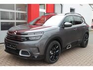 Citroen C5 Aircross Shine Pack Hybrid 225 AHK Navi Shz Kamera - Großrudestedt