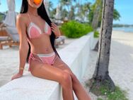 Jin Asia Girl ❤️ schlank ❤️ 24j. Neu - Hamburg Harburg