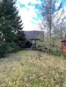 Grundstück mit Altbestand in ruhiger Lage in Kolkwitz - Kolkwitz
