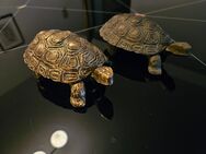 vintage Dose Schildkröte aus Messing - Heidelberg