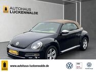 VW Beetle, 1.2 TSI Cabriolet Design, Jahr 2018 - Luckenwalde