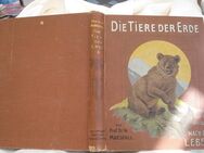 Die Tiere der Erde Band II - Prof.Dr.W. Marshall - Friedrichsdorf