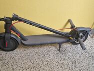 Scooter/E-scooter - Hannover Ricklingen