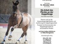 12. Oktober - Doppellongen-Seminar auf dem Hofgut Albführen - Hüntwangen