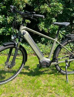 Kalkhoff Entice 5.B Season 625 Wh urbangreen matt M/48 2023 - Berlin Steglitz-Zehlendorf