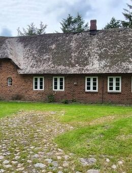 renovierungsbedürftiges Reetdachanwesen auf 1,85 Hektar großem Grundstück sucht kreative Liebhaber - Risum-Lindholm