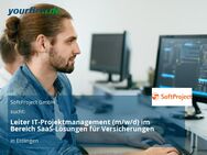 Leiter IT-Projektmanagement (m/w/d) im Bereich SaaS-Lösungen für Versicherungen - Ettlingen