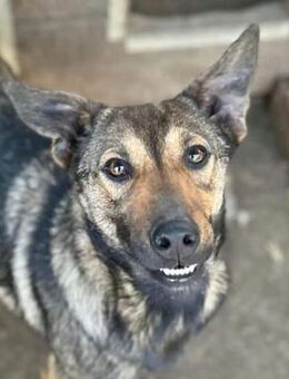 MARCO ~ ein hübscher Kerl - Duisburg