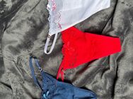 Strings Tangs und Slips neuwertig größe M - Freiburg (Breisgau)
