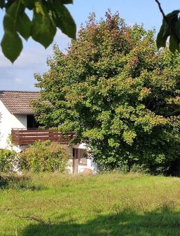 EFH in absoluter Spitzenlage - direkt an Wiesen und Feldern - Karlsruhe