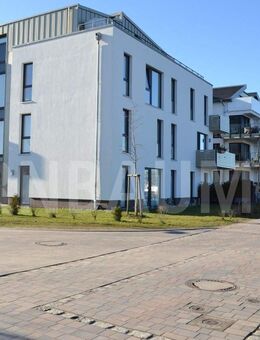 4-Zimmer-Wohnung direkt am Ryck - Greifswald