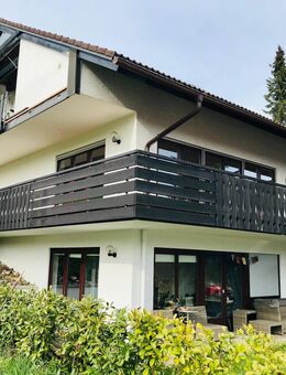 1,5 Zi Wohnung mit großem Balkon u. Stellplatz - Herrischried