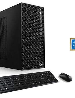 CSL Mystic V24565 PC (Intel® Pentium Gold G7400, 32 GB RAM, 1000 GB SSD, Luftkühlung)