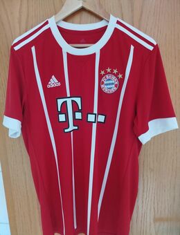 Originale Fussball Trikots zu verkaufen in Größe L !!! - Waren (Müritz)