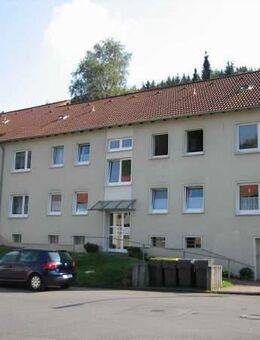 3 Zimmer Wohnung mit Balkon in Plettenberg - Plettenberg