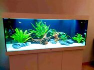 Juwel Rio 450l LED Aquarium inkl Unterschrank in weiß - Mülheim (Ruhr)