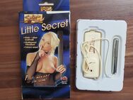 25952a1e Silvia Saint Little Secret Mini Vibrator Dildo Geheimnis Ehepflege Love Toys NEU UNGEBRAUCHT - Köln Zentrum