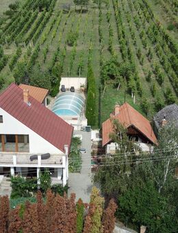 Haus mit Nebenhäusern, Pool und Weinberg in Vinica / Slowakei - Wasserburg (Bodensee)