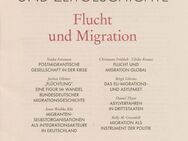 APUZ 45/2024 - Aus Politik und Zeitgeschichte - Flucht und Migration - Grünberg