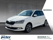 Skoda Fabia, CLEVER, Jahr 2021 - Nordhausen