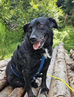 Jones möchte Ankommen - Obertshausen