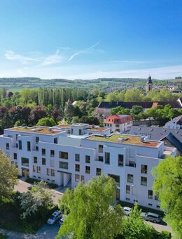 Exklusive Wohnung zwischen Kurpark und Innenstadt - Bad Mergentheim