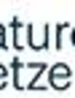 Cyber Security Spezialist SOC/NOC (m/w/d) - Rheinfelden (Baden)