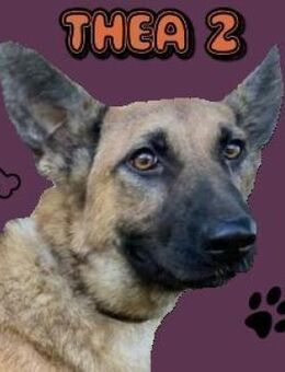THEA 2 sucht kuscheliges Zuhause - Gefrees