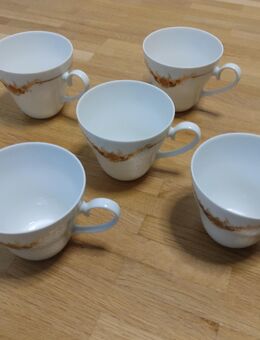 5 Rosenthal Kaffeetassen - Barsinghausen