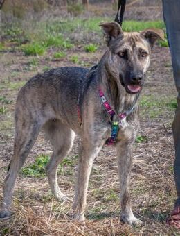Jennifer traeumt vom grossen Glueck - Brunstorf