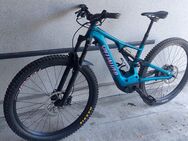 Specialized Levo Rahmen M - Gaggenau