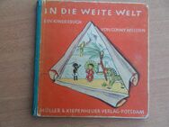 In die weite Welt Ein Kinderbuch von Conny Meissen 1929 Müller & Kipenheuer Verlag - Berlin