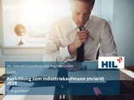 Ausbildung zum Industriekaufmann (m/w/d) 2024 - Augustdorf
