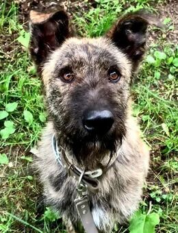 TIM- sucht ambitionierte Familie - Mainhardt