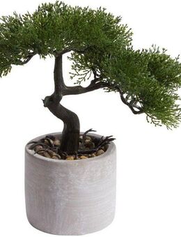 Kunstbonsai Ceder Bonsai Ceder, Botanic-Haus, Höhe 25 cm