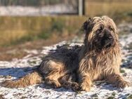 GRINSCH wurde hilflos zurück gelassen - Hof