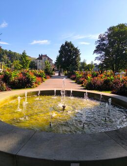 Suche neuen Freund - Schwäbisch Gmünd Zentrum