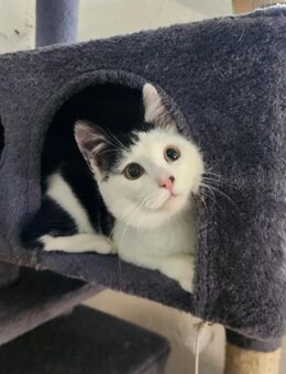 Jan; frecher Sonnenschein - Geilenkirchen