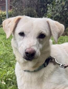 CLARA bereit für ihr neues Leben - Sehnde