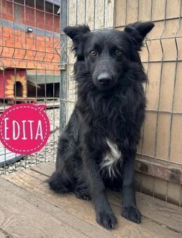 Edita eine Seele die in Scherben liegt - Flörsheim-Dalsheim