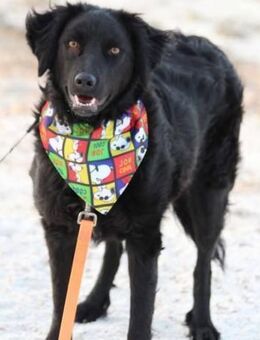 Noa 💗freundlich + super aufgeschlossen! - Hamburg