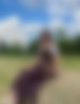 Bir*** - Schwarzenberg (Erzgebirge)