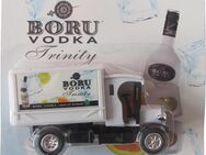 Boru Vodka Nr. - Trinity - Dennis Delivery Van - Planenlieferwagen - Doberschütz