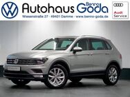 VW Tiguan, 2.0 TDI Highline, Jahr 2016 - Damme